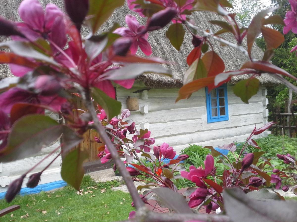 Dzikie Roztocze - Stara Chata Krasnobród Exterior foto